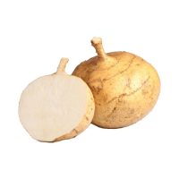 Jicama